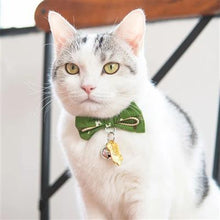 Load image into Gallery viewer, Glampurr Elegant Fashion Cat Collar