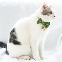 Load image into Gallery viewer, Glampurr Elegant Fashion Cat Collar