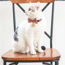 Load image into Gallery viewer, Glampurr Elegant Fashion Cat Collar