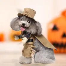 Load image into Gallery viewer, Yeehaw Paws: The Western Cowboy Pet Costume