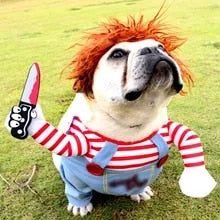 Load image into Gallery viewer, Chucky Paws: The Deadly Doll Dog Costume