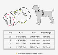 Load image into Gallery viewer, Glamour Paws Bling Harness