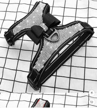 Load image into Gallery viewer, SparkleSafe Pooch Vest