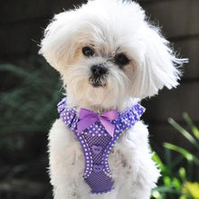Load image into Gallery viewer, American River Choke Free Dog Harness Polka Dot Collection - Paisley Purple Polka Dot