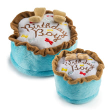 Load image into Gallery viewer, Birthday Boy Cake