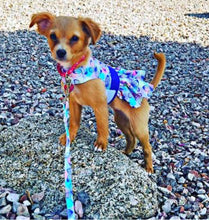 Load image into Gallery viewer, Purple Butterfly Dog Dress with Matching Leash
