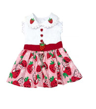 Load image into Gallery viewer, Strawberry Picnic Dress with Matching Leash