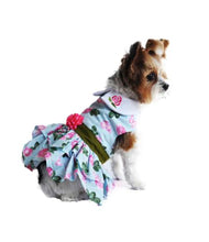 Load image into Gallery viewer, Pink Rose Dress with D-Ring and Matching Leash
