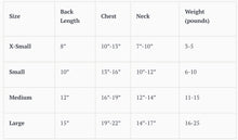 Load image into Gallery viewer, Blue and White Pastel Pearls Floral Dress with Matching Leash