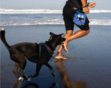 Load image into Gallery viewer, Chewy Dog Treat Bag