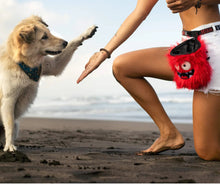 Load image into Gallery viewer, Dexter Dog Treat Bag