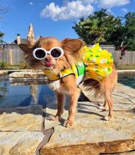 Load image into Gallery viewer, Ladybugs and Daisies Dog Dress and Matching Leash