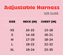 Load image into Gallery viewer, Blue Dogs in Outer Space Harness