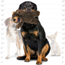 Load image into Gallery viewer, Mighty Angry Animal Series Bear