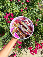 Load image into Gallery viewer, Loco Coco Interactive Slow Feeder Bowl