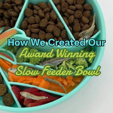 Load image into Gallery viewer, Loco Coco Interactive Slow Feeder Bowl Seafoam