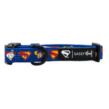 Load image into Gallery viewer, Superman™ & Krypto™ Heroic Dog Bundle