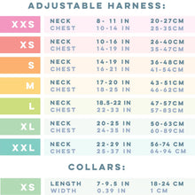 Load image into Gallery viewer, Superman™ & Krypto™ Heroic Dog Bundle