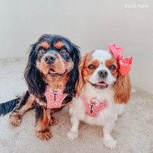Load image into Gallery viewer, Barbie™ x Sassy Woof Adjustable Dog Harness