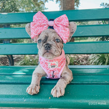 Load image into Gallery viewer, Barbie™ x Sassy Woof Adjustable Dog Harness