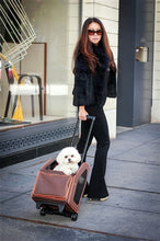 Load image into Gallery viewer, Orange Zest Rio Bag on Wheels – 3-in-1 Luxury Pet Carrier