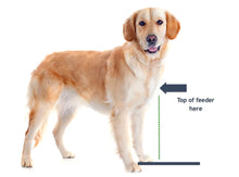 Load image into Gallery viewer, The Woodsman Dog Diner – Elevated Hardwood & Steel Dog Feeder