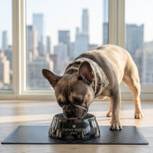 Load image into Gallery viewer, Black Checker Chewy Vuiton Dog Bowl Set – 2 Piece