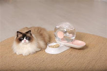 Load image into Gallery viewer, Pet Life® 'Auto-Myst' Snail-Shaped 2-in-1 Filtered Water and Food Bowl