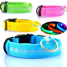Load image into Gallery viewer, USB RECHARGEABLE LED PET DOG COLLAR
