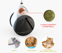 Load image into Gallery viewer, Tumbler Balanced Wheel Swinging Ball Cat Toy
