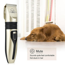 Load image into Gallery viewer, Pet Hair Clipper Set