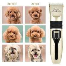 Load image into Gallery viewer, Pet Hair Clipper Set