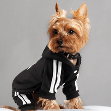 Load image into Gallery viewer, Adidog Pet Tracksuit | Sporty Dog Hoodie