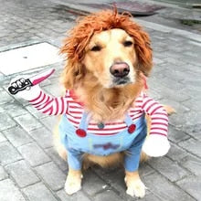 Load image into Gallery viewer, Chucky Paws: The Deadly Doll Dog Costume
