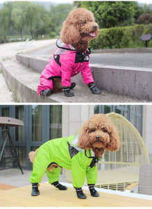 Pet Transparent Raincoat