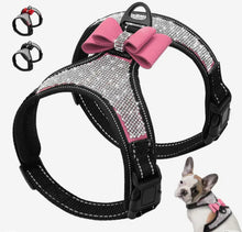 Load image into Gallery viewer, SparkleSafe Pooch Vest
