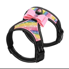 Load image into Gallery viewer, SparkleSafe Pooch Vest
