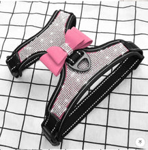 Load image into Gallery viewer, SparkleSafe Pooch Vest
