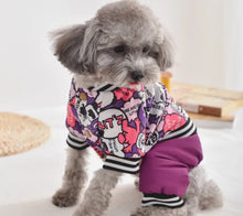 Load image into Gallery viewer, WaterWoofs: Designer Waterproof Dog Jacket Overalls
