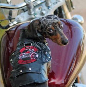 Biker Dawg Motorcycle Dog Jacket - Black