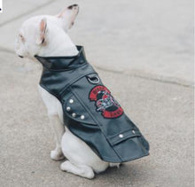 Load image into Gallery viewer, Biker Dawg Motorcycle Dog Jacket - Black
