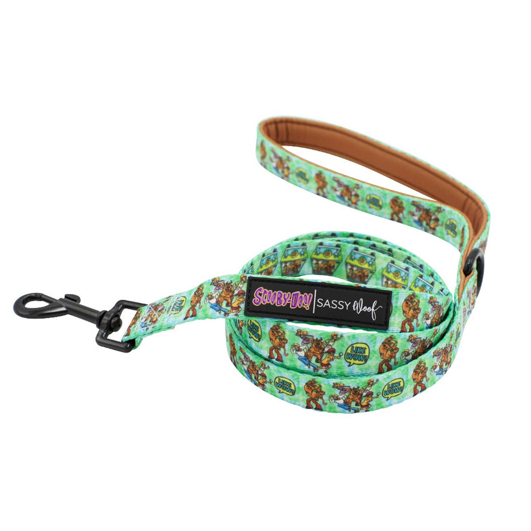 Dog Leash - Scooby-Doo