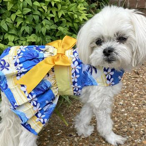 Catching Waves Dog Dress with Matching Leash