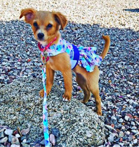 Purple Butterfly Dog Dress with Matching Leash