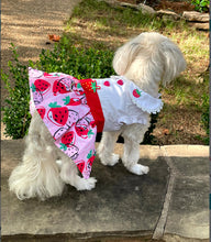 Load image into Gallery viewer, Strawberry Picnic Dress with Matching Leash
