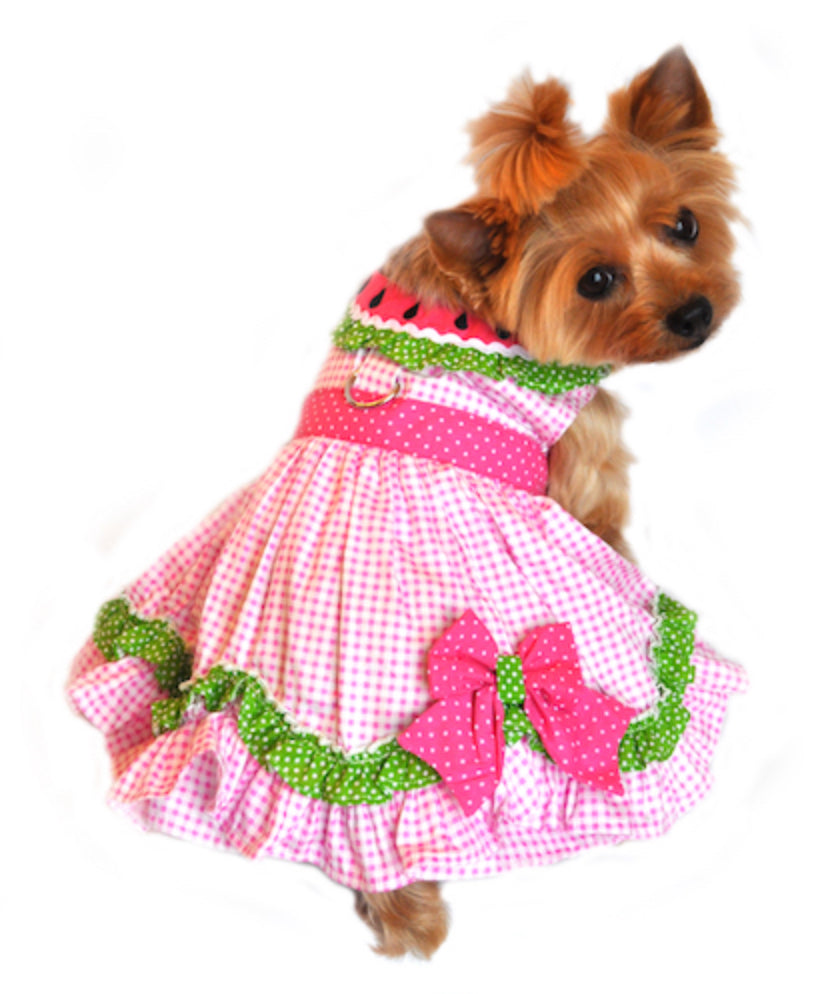 Watermelon Harness Dress