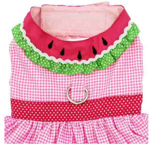 Watermelon Harness Dress