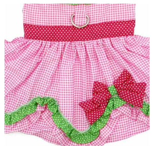 Watermelon Harness Dress