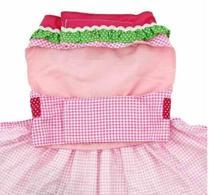 Watermelon Harness Dress