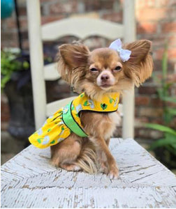 Ladybugs and Daisies Dog Dress and Matching Leash